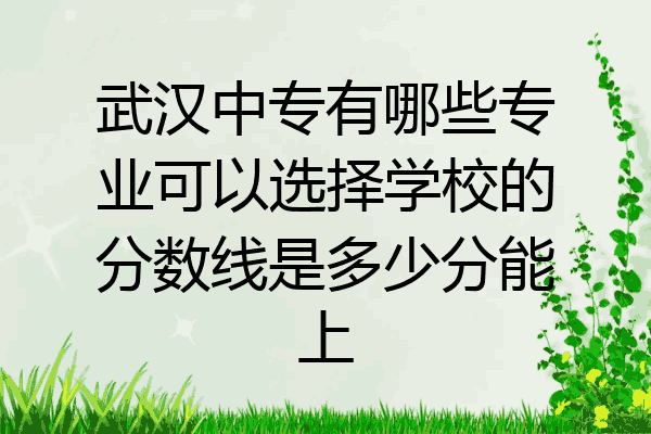 武汉中专有哪些专业可以选择学校的分数线是多少分能上