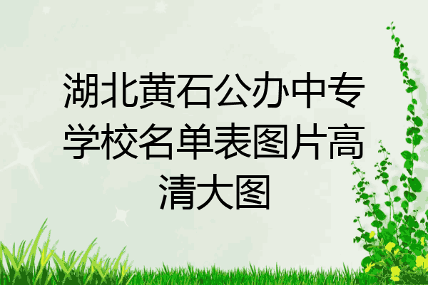 湖北黄石公办中专学校名单表图片高清大图