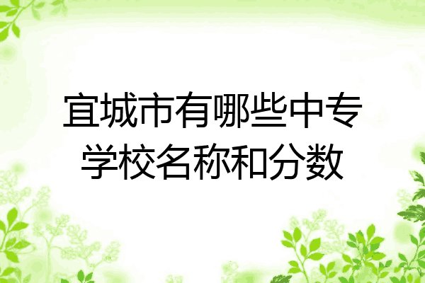 宜城市有哪些中专学校名称和分数