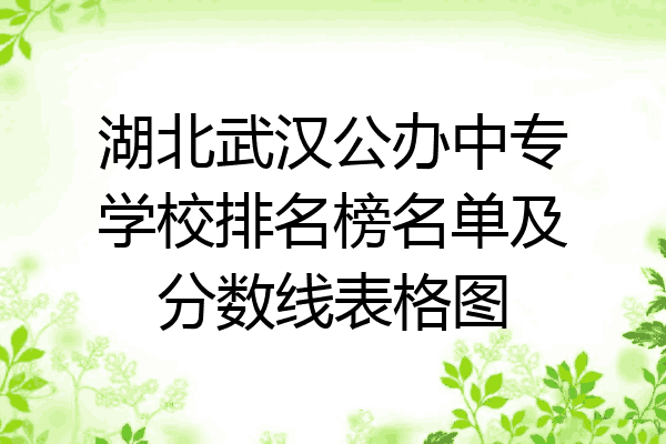 湖北武汉公办中专学校排名榜名单及分数线表格图