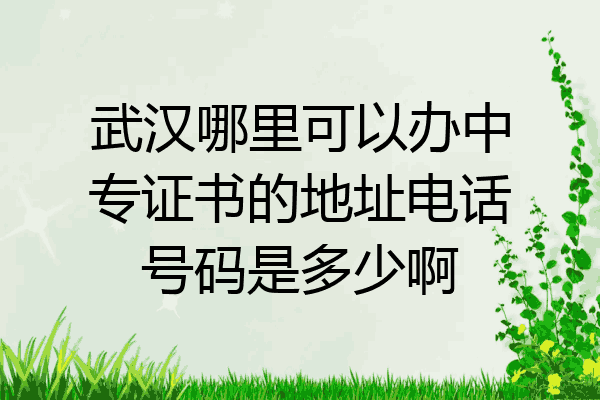 武汉哪里可以办中专证书的地址电话号码是多少啊