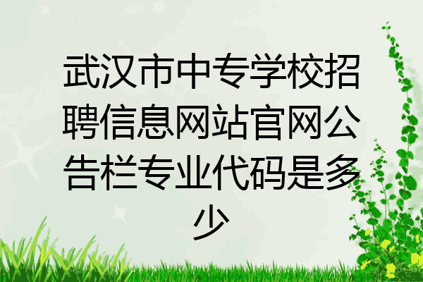 武汉市中专学校招聘信息网站官网公告栏专业代码是多少
