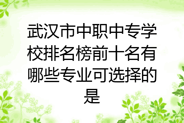 武汉市中职中专学校排名榜前十名有哪些专业可选择的是
