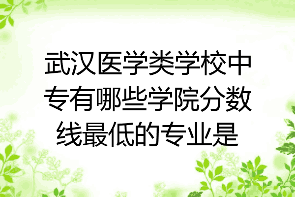 武汉医学类学校中专有哪些学院分数线最低的专业是