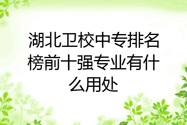 湖北卫校中专排名榜前十强专业有什么用处