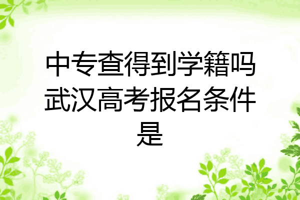 中专查得到学籍吗武汉高考报名条件是