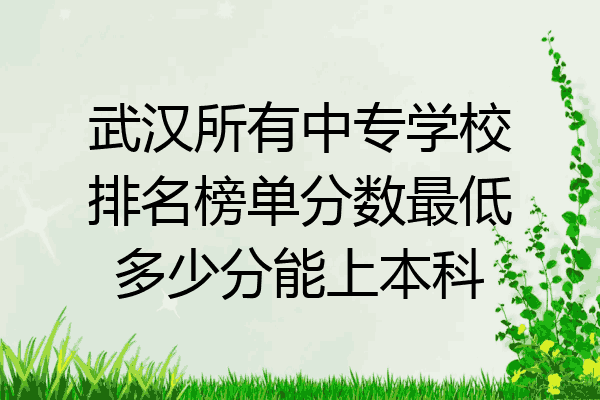 武汉所有中专学校排名榜单分数最低多少分能上本科