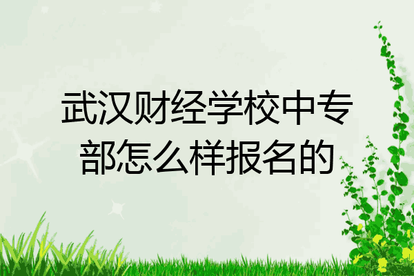 武汉财经学校中专部怎么样报名的