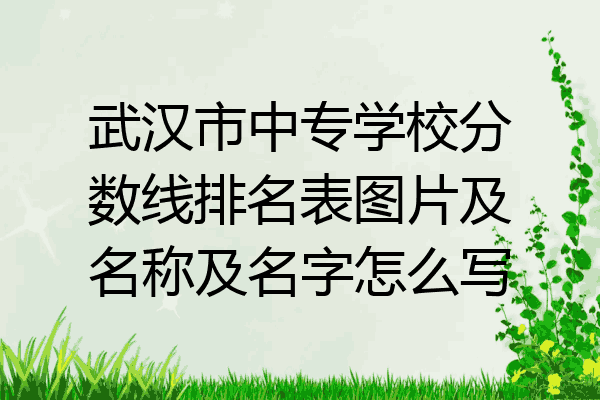 武汉市中专学校分数线排名表图片及名称及名字怎么写