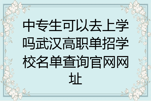 中专生可以去上学吗武汉高职单招学校名单查询官网网址