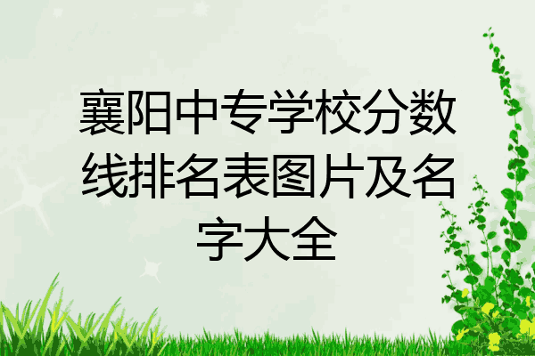 襄阳中专学校分数线排名表图片及名字大全