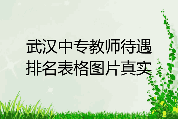 武汉中专教师待遇排名表格图片真实