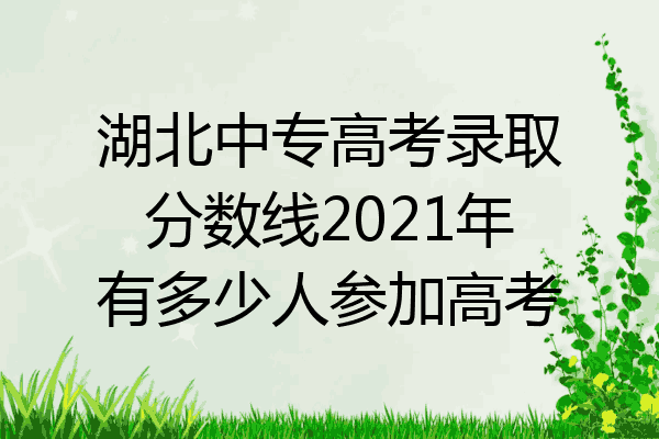 湖北中专高考录取分数线2021年有多少人参加高考