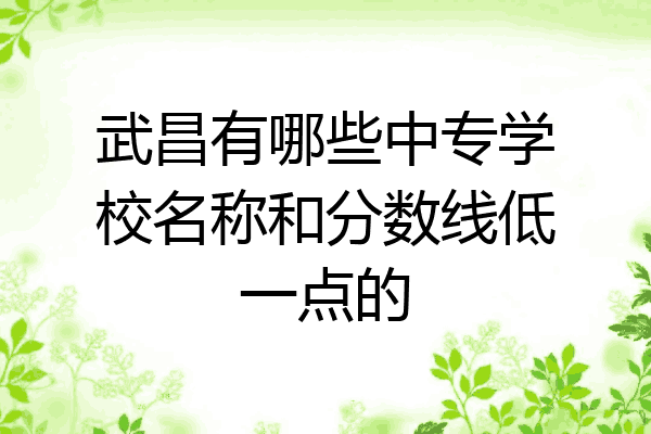 武昌有哪些中专学校名称和分数线低一点的