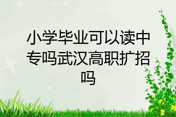 小学毕业可以读中专吗武汉高职扩招吗