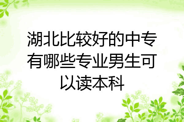湖北比较好的中专有哪些专业男生可以读本科