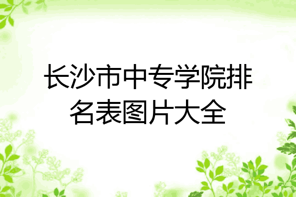 长沙市中专学院排名表图片大全