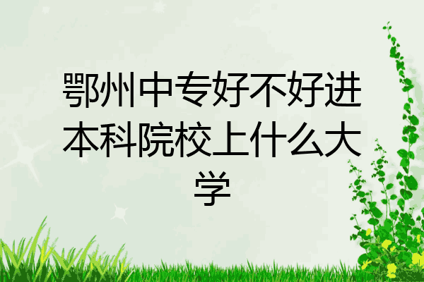 鄂州中专好不好进本科院校上什么大学