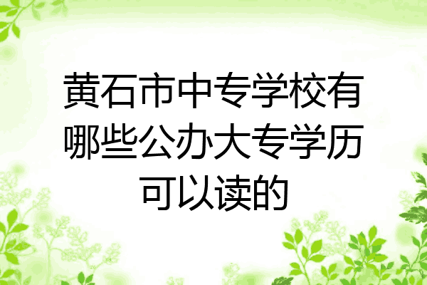 黄石市中专学校有哪些公办大专学历可以读的