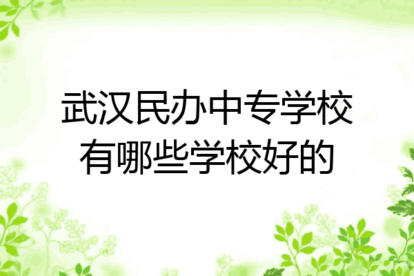武汉民办中专学校有哪些学校好的