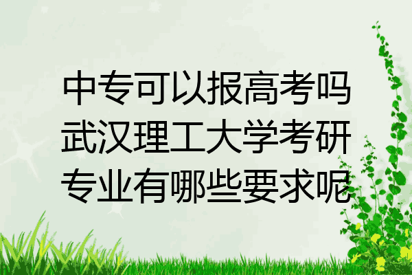 中专可以报高考吗武汉理工大学考研专业有哪些要求呢