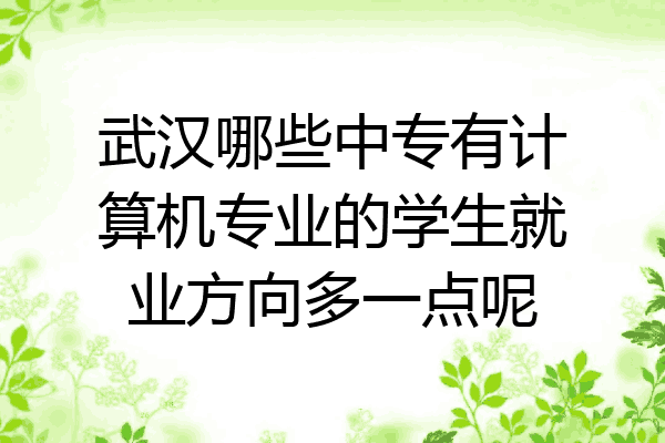 武汉哪些中专有计算机专业的学生就业方向多一点呢