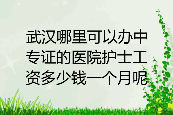 武汉哪里可以办中专证的医院护士工资多少钱一个月呢