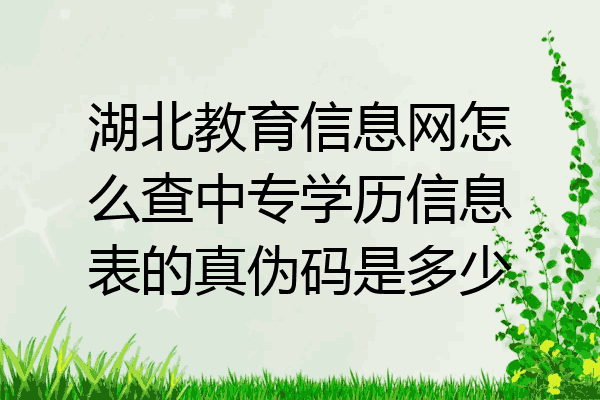 湖北教育信息网怎么查中专学历信息表的真伪码是多少