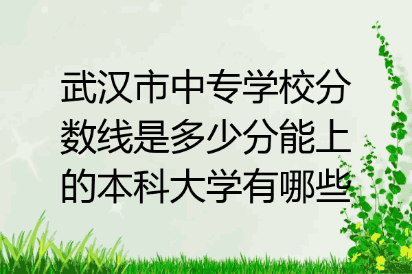 武汉市中专学校分数线是多少分能上的本科大学有哪些