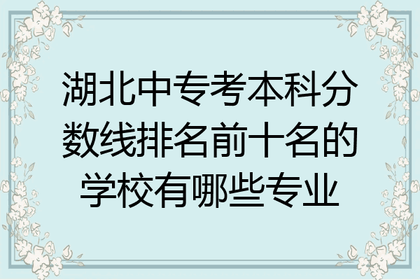 湖北中专考本科分数线排名前十名的学校有哪些专业