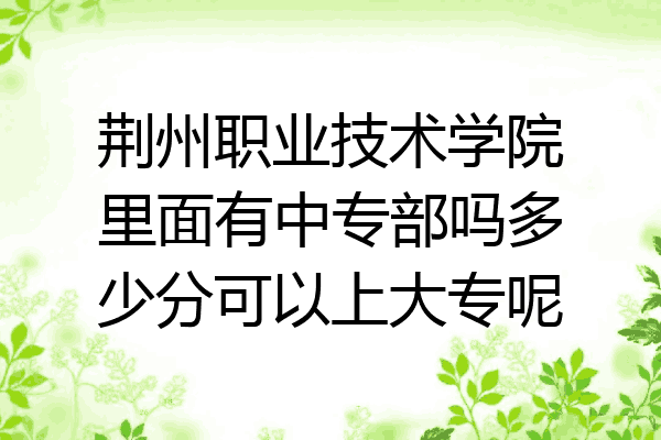 荆州职业技术学院里面有中专部吗多少分可以上大专呢