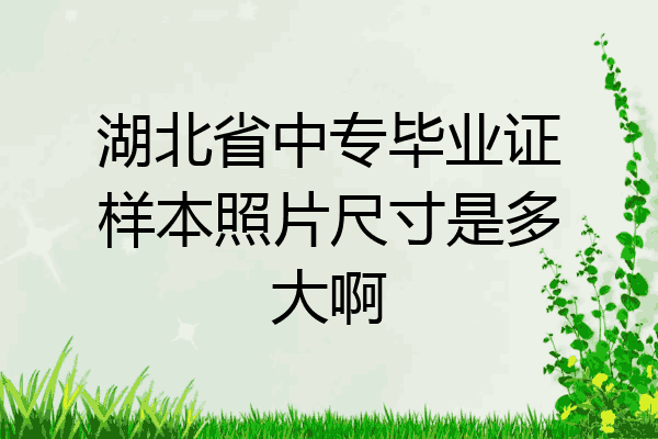 湖北省中专毕业证样本照片尺寸是多大啊