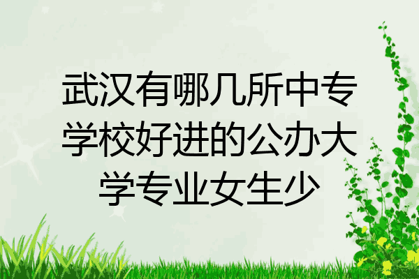 武汉有哪几所中专学校好进的公办大学专业女生少