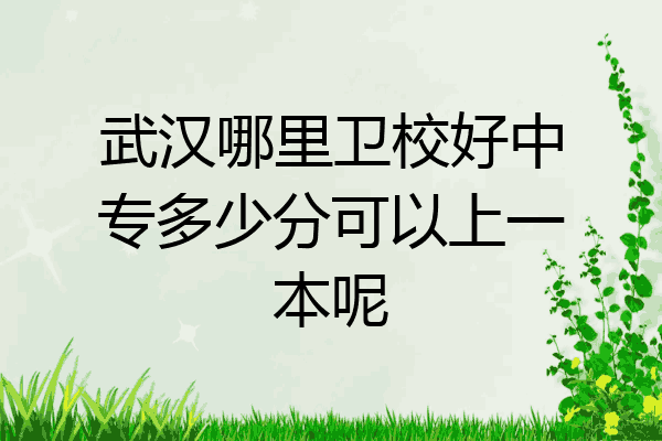 武汉哪里卫校好中专多少分可以上一本呢