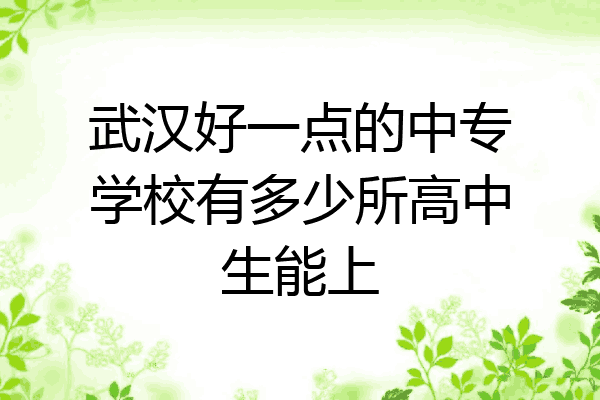 武汉好一点的中专学校有多少所高中生能上