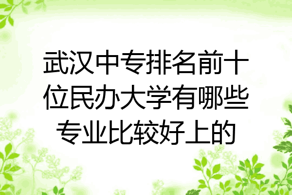 武汉中专排名前十位民办大学有哪些专业比较好上的