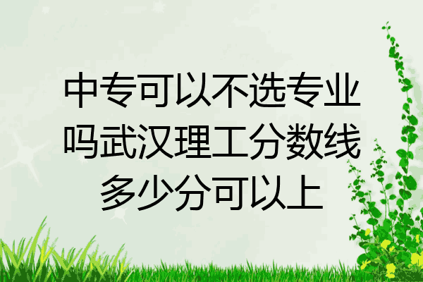 中专可以不选专业吗武汉理工分数线多少分可以上
