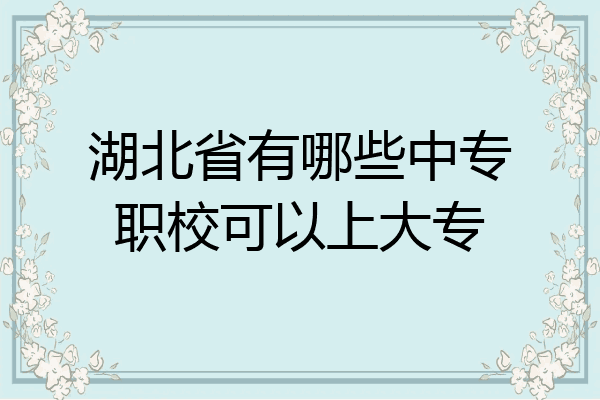 湖北省有哪些中专职校可以上大专