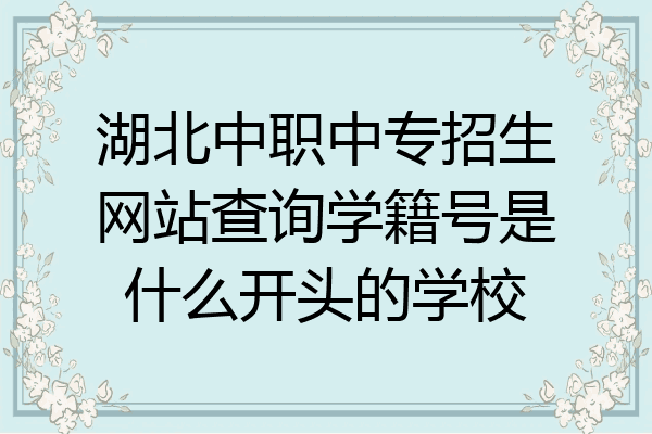 湖北中职中专招生网站查询学籍号是什么开头的学校