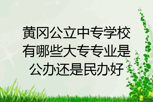 黄冈公立中专学校有哪些大专专业是公办还是民办好