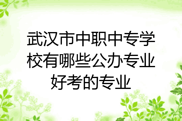 武汉市中职中专学校有哪些公办专业好考的专业
