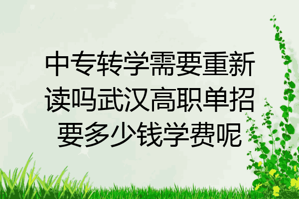 中专转学需要重新读吗武汉高职单招要多少钱学费呢