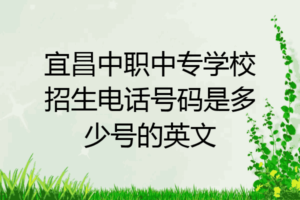 宜昌中职中专学校招生电话号码是多少号的英文
