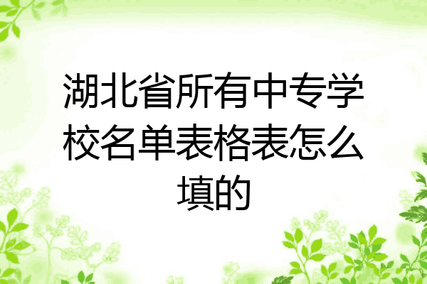 湖北省所有中专学校名单表格表怎么填的