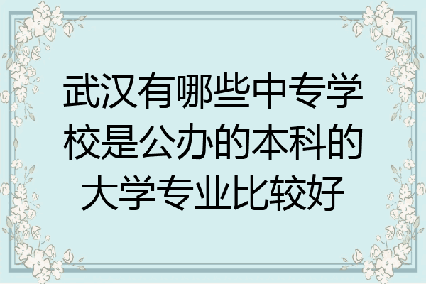 武汉有哪些中专学校是公办的本科的大学专业比较好
