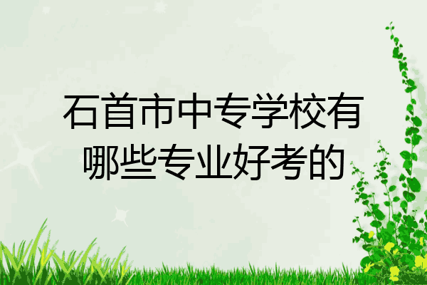 石首市中专学校有哪些专业好考的