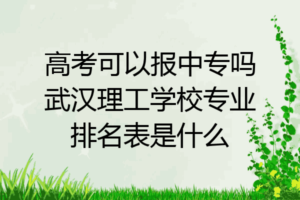 高考可以报中专吗武汉理工学校专业排名表是什么