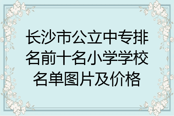 长沙市公立中专排名前十名小学学校名单图片及价格