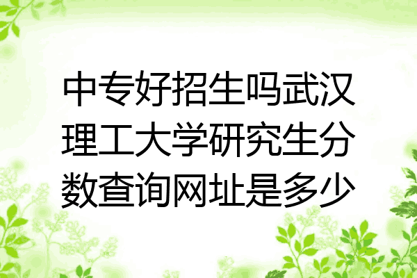 中专好招生吗武汉理工大学研究生分数查询网址是多少