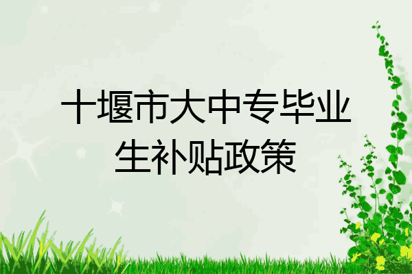 十堰市大中专毕业生补贴政策